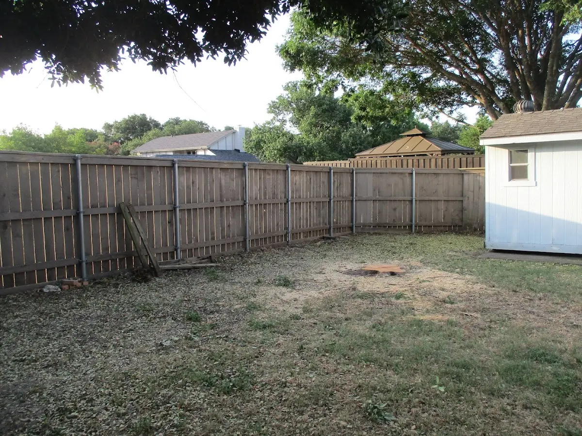 Cleared yard after professional tree removal in Mc Coy