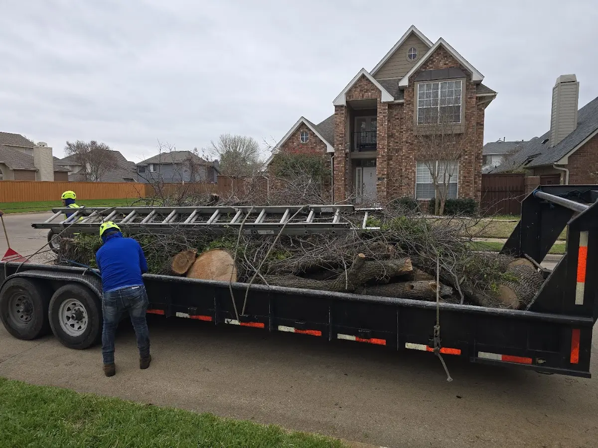Expert Tree Fertilization with proper safety equipment in Mc Coy